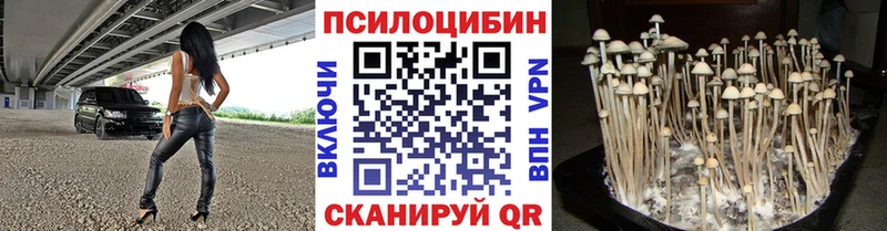 Купить где  Трубчевск  Псилоцибиновые грибы Psilocybine cubensis 